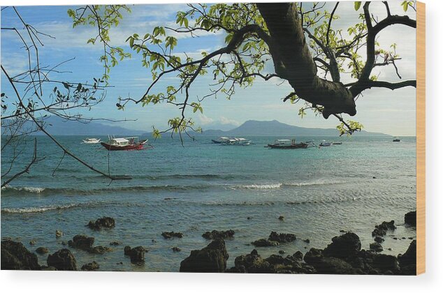 Tree Wood Print featuring the photograph Seaside landscape with tree by Robert Bociaga