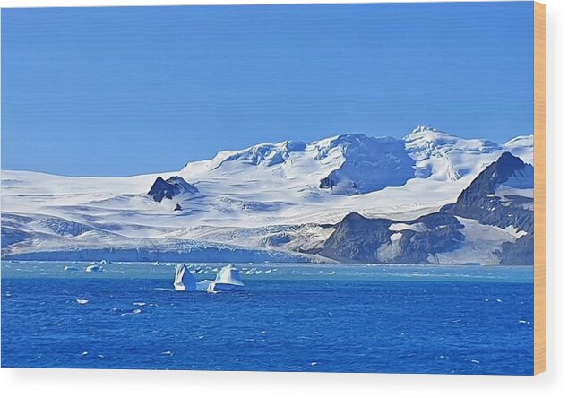 Antarctica Wood Print featuring the photograph Shades of Icy Blue by Andrea Whitaker