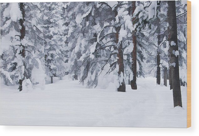 Beauty Wood Print featuring the photograph Snow-dappled Woods by Don Schwartz