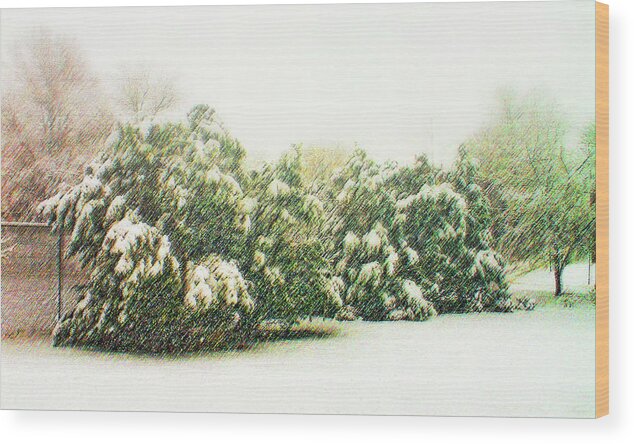 Snow Wood Print featuring the photograph Snow scene, Arlington, VA by Bill Jonscher