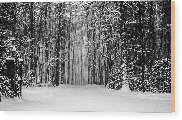 Catskills Wood Print featuring the photograph Snow Storm by Louis Dallara