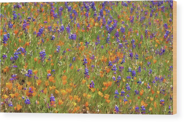 Wildflowers Wood Print featuring the photograph Spring Bliss - Poppies and Lupines by Ram Vasudev
