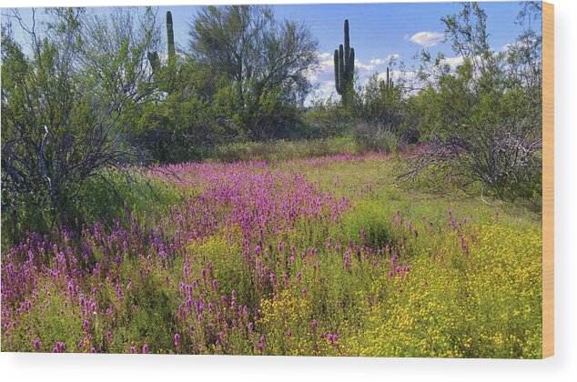 Desert Wood Print featuring the photograph Springtime - Sonoran Desert by Gene Taylor
