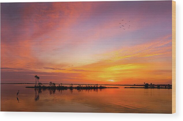St. Johns River Wood Print featuring the photograph St. Johns River Sunrise by Randall Allen