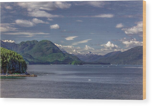 Alaska Wood Print featuring the photograph Summer Day in Alaska by Marcy Wielfaert