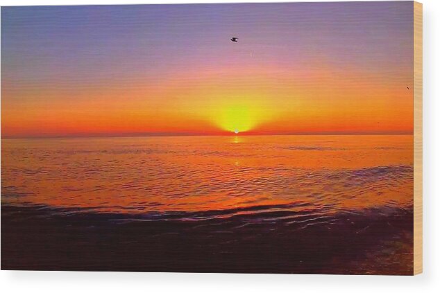 Sunrise Wood Print featuring the photograph Sunrise Beach 492 by Rip Read