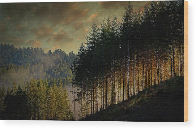 Oregon Coastal Forest Wood Print featuring the photograph Sunrise Tree Line by Bill Posner