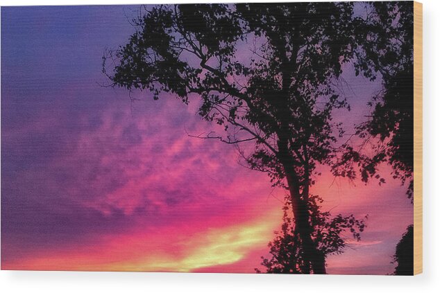 Landscape  Sunset   Wood Print featuring the photograph Sunset behind a tree by Kelsea Peet