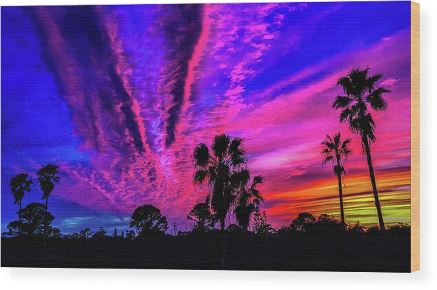 Sunset Wood Print featuring the photograph 16x9 Sunset Palms Silhouette by Danny Mongosa