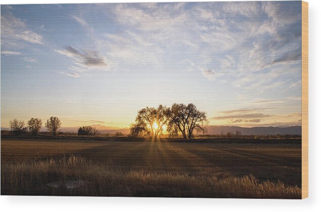Colorado Wood Print featuring the photograph Sunset Silhouette by Monte Stevens