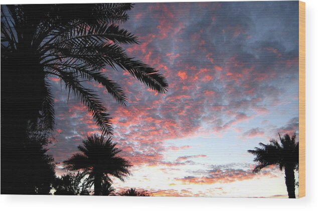 Sunset Wood Print featuring the photograph Sunset Sky by Jindra Noewi