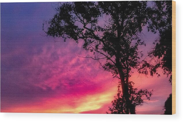 Sunset  Wood Print featuring the photograph Sunset with a tree by Kelsea Peet