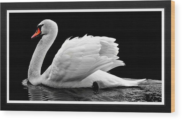 Swan Wood Print featuring the photograph Swan Elegance by Nancy Ayanna Wyatt