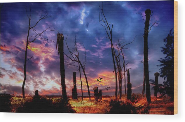 Sky Wood Print featuring the photograph The Remains of the Day by Micah Offman