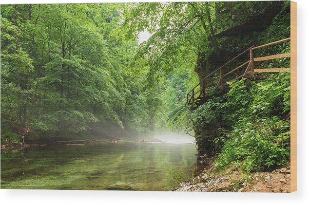 Europe Wood Print featuring the photograph The Vintgar Gorge, Slovenia by Mirko Chessari