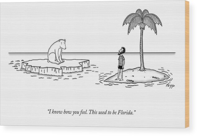 I Know How You Feel. This Used To Be Florida. Wood Print featuring the drawing This Used To Be Florida by Felipe Galindo