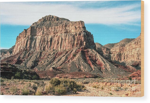 Arizona Wood Print featuring the photograph Uplifted by Kathy McClure