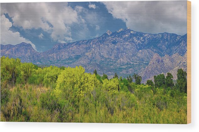 Mark Myhaver Photography Wood Print featuring the photograph Vista del Valle 24810 by Mark Myhaver