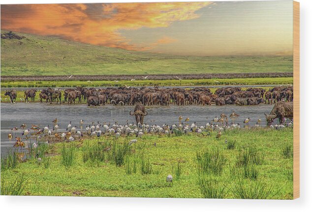 Africa Wood Print featuring the photograph Watering Hole Sunset, Ngorongoro Crater by Marcy Wielfaert