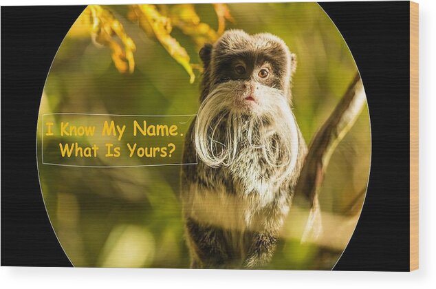 Monkey Wood Print featuring the mixed media What Is Your Name by Nancy Ayanna Wyatt