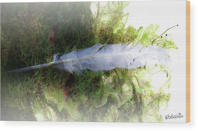 White Feather Wood Print featuring the photograph White Feather by Elaine Berger
