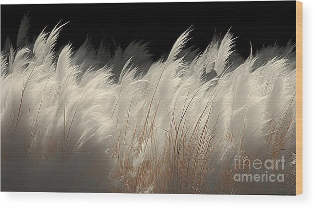 Dreamscape Wood Print featuring the photograph White Feathers by Mindy Sommers