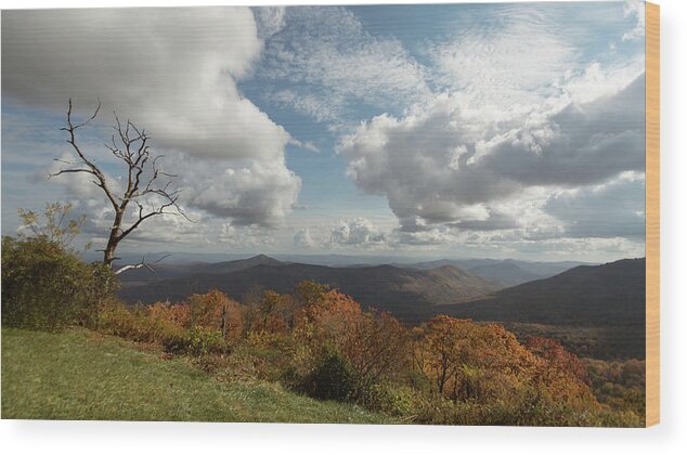 Blue Ridge Parkway Wood Print featuring the photograph Wide View of the Blue Ridge Mountains by Joni Eskridge