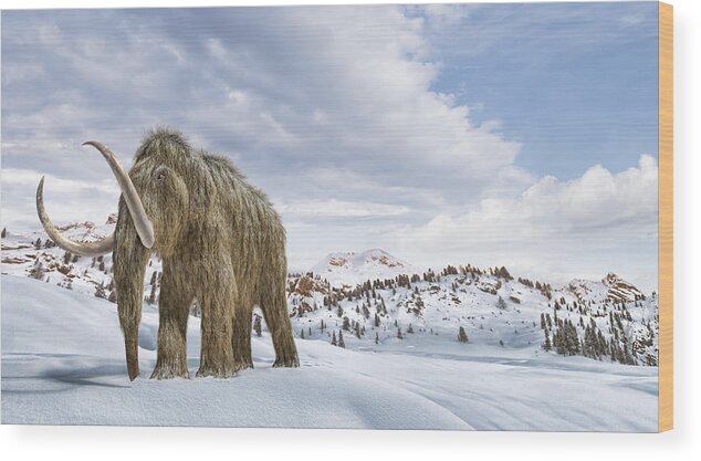 Toughness Wood Print featuring the drawing Woolly mammoth in a winter scene environment. by Leonello Calvetti/Stocktrek Images