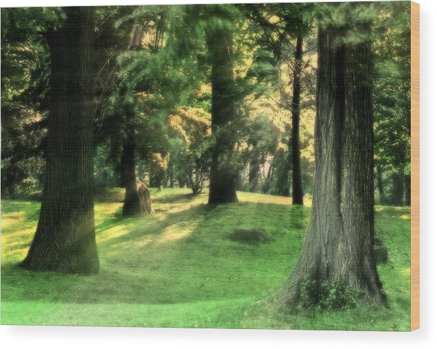 Spring Afternoon Wood Print featuring the photograph Spring Afternoon in Brookdale Park by Kellice Swaggerty