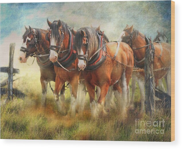 Horse Wood Print featuring the photograph Bringin em Home by Trudi Simmonds