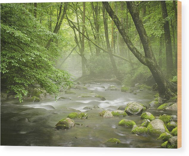 River Wood Print featuring the photograph Great Smoky Mountains NC Misty Mountain Flow by Robert Stephens