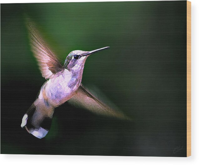 Nature Wood Print featuring the photograph Hummer Ballet 1 by ABeautifulSky Photography by Bill Caldwell