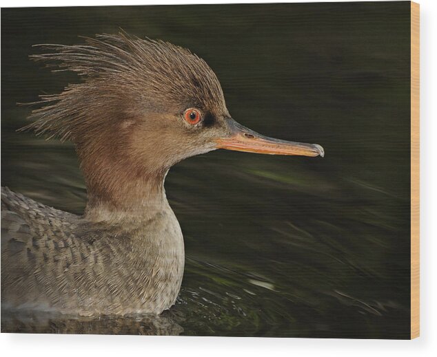 Duck Wood Print featuring the photograph I Feel Pretty by Carol Eade