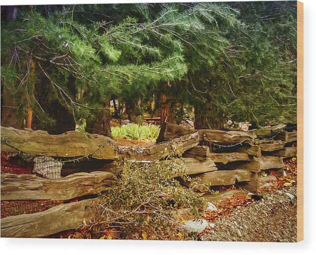 Mt Baldy Angeles Nation Forest Wood Print featuring the photograph Rustic Beauty #1 by Joseph Hollingsworth