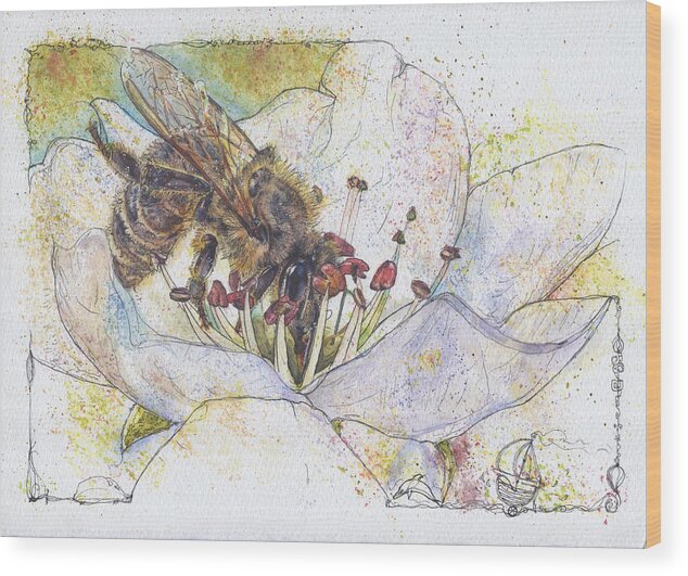 Bee Wood Print featuring the painting Bee on Pear Blossom - No bees no pears. by Petra Rau