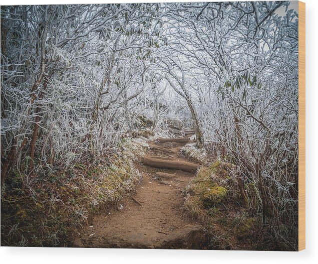 Landscape Wood Print featuring the photograph Blue Ridge Parkway NC An Entrance To Winter by Robert Stephens