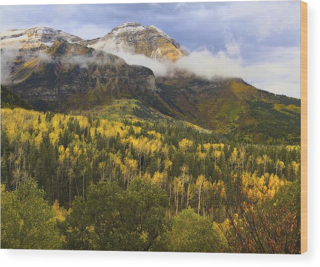 Mount Timpanogos Wood Print featuring the photograph Mount Timpanogos in Autumn by Douglas Pulsipher