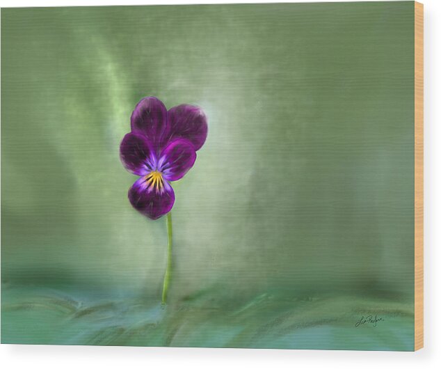 Pansy Wood Print featuring the digital art Pansy by Lisa Redfern