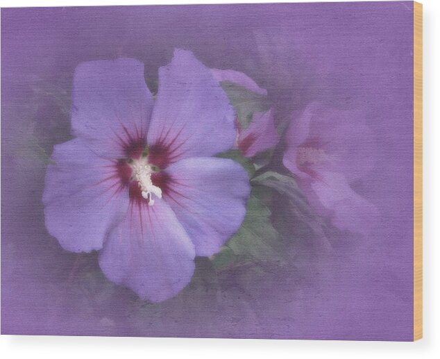 Hibiscus Wood Print featuring the photograph Sunday Hibiscus by Richard Cummings