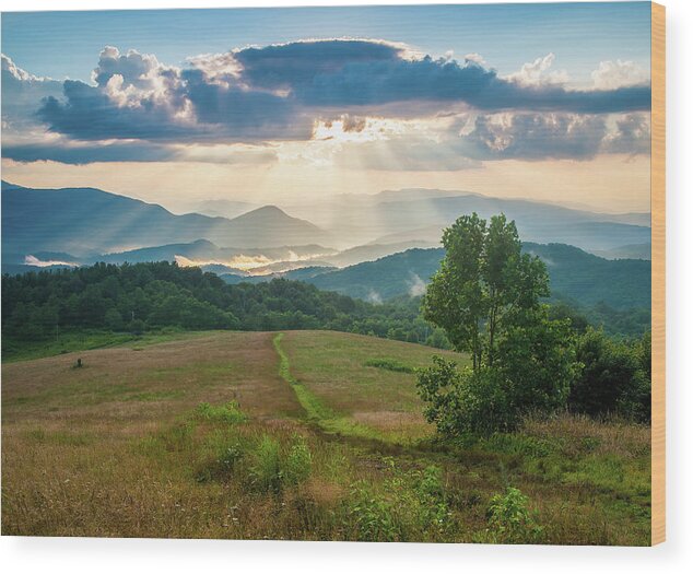 Landscape Wood Print featuring the photograph Appalachian Mountains NC Heavenly Max Patch by Robert Stephens