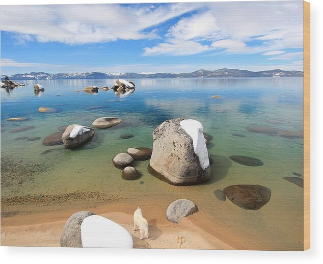 Lake Tahoe Wood Print featuring the photograph Forever Wild by Sean Sarsfield