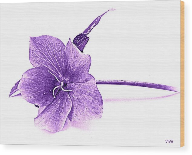 Spring Wood Print featuring the photograph Song of Spring - Purple by VIVA Anderson