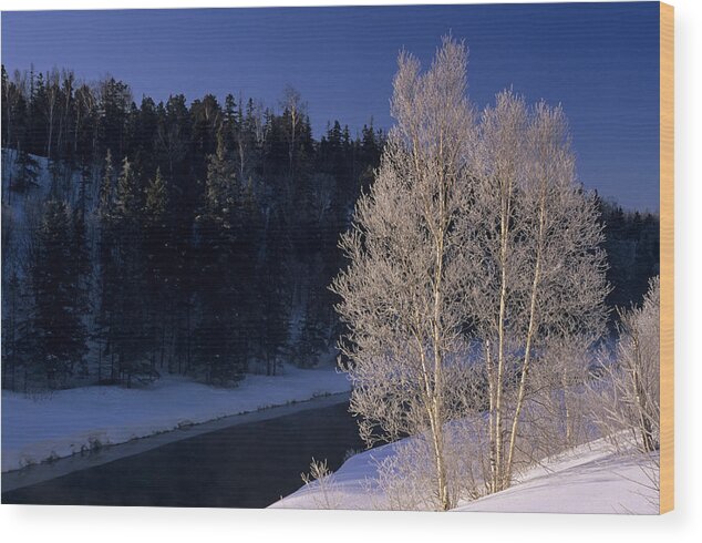 Canada Wood Print featuring the photograph Canadian Winter Landscape #1 by Don Johnston