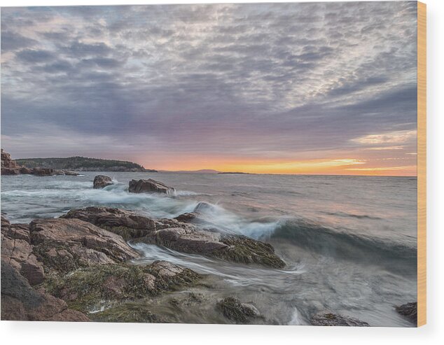 Acadia National Park Wood Print featuring the photograph Morning Splash by Jon Glaser