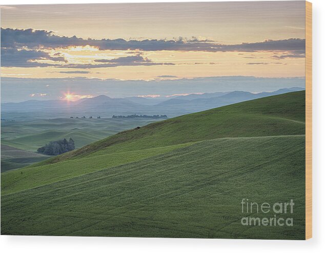 Eastern Washington Wood Print featuring the photograph Palouse Sunrise #1 by Idaho Scenic Images Linda Lantzy