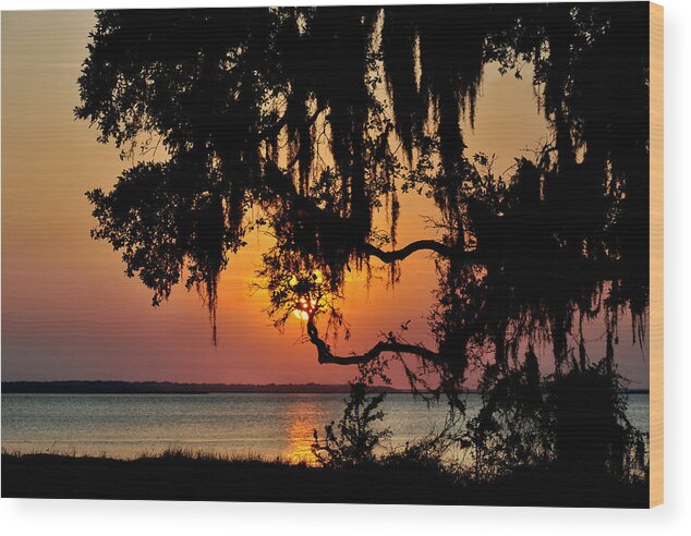 Sunset Wood Print featuring the photograph Spanish moss sunset #1 by Peter DeFina