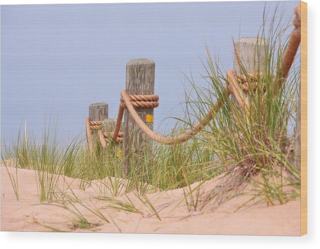 State Park Wood Print featuring the pyrography 9741 Pilings by Kathy Wesserling