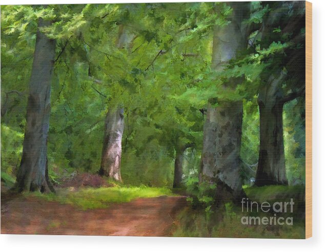 Forest Wood Print featuring the painting A Day in the Forest by Lutz Baar