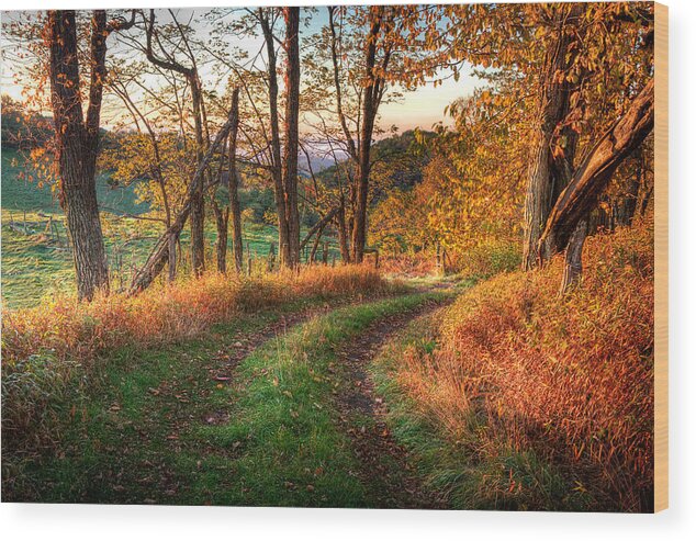 North Carolina Wood Print featuring the photograph A Kiss of Fall Colors I - Blue Ridge Parkway by Dan Carmichael