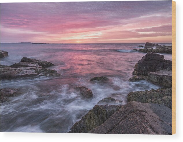 Maine Wood Print featuring the photograph A Splash of Orange by Jon Glaser